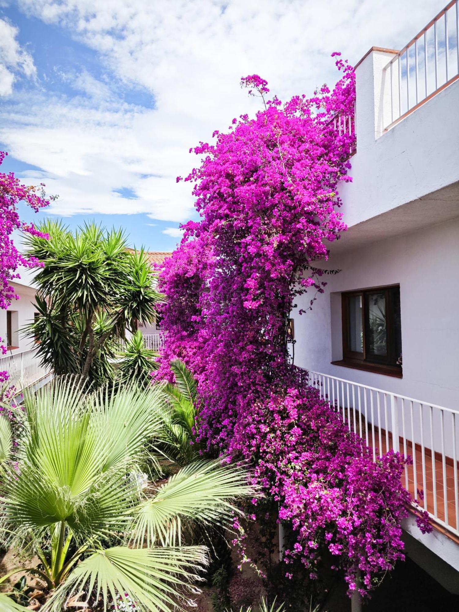 El Penell Apartament Llevant Vilamaniscle Buitenkant foto